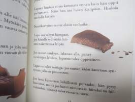 Pieni taikakirja - Valikoima Suomen kansan taikoja ja enteitä