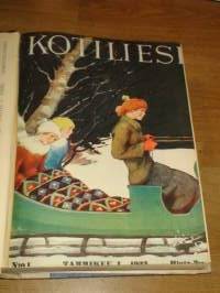 Kotiliesi 1933 -sidottu vuosikerta,Kansikuvitus Rudolf Koivu, upeat kansikuvat näkyvät kuvissa !