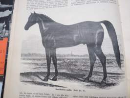 Kyläkirjaston kuvalehti - vuosikerrat 1891-1892 A-sarja,  kirjaksi sidottuna, monipuolinen ja runsas kirjallinen sekä kuvallinen aineisto sekä Suomea että