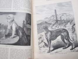 Kyläkirjaston kuvalehti - vuosikerrat 1891-1892 A-sarja,  kirjaksi sidottuna, monipuolinen ja runsas kirjallinen sekä kuvallinen aineisto sekä Suomea että
