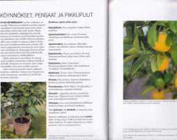 Istuta ruukkuun ympäri vuoden, 2008. Ruukuissa voi viljellä oikeastaan mitä tahansa, kunhan niihin laittaa riittävästi multaa vankkoja juuria varten.(piha, puutarha)