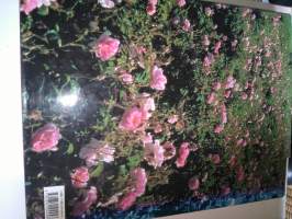 PERFUME The creation and allure of classic fragrances : Susan Irvine  (1996)