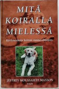 Mitä koiralla mielessä - kurkistuksia koiran tunne-elämään. (evoluutiopsykologia, käyttäytymispsykologia)