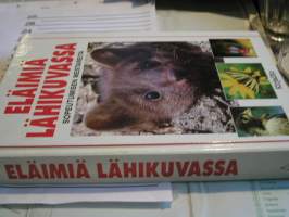 eläimiä lähikuvassa