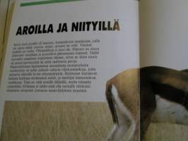 eläimiä lähikuvassa