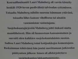 Lauri Malmberg ja suojeluskunnat