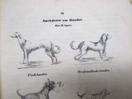 EOS - Tidskrift för barn och barnens vänner 1866 årgång - Stentryckeriet i Åbo -inbunden, tryckta bilder, delvis handkolorerade färgtryck, t.ex. Nådendal