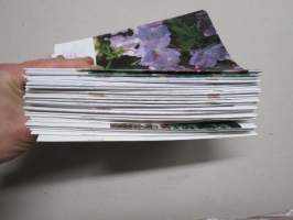 Rhododendronlehti 25 kpl lehtiä vv. 2006-2012
