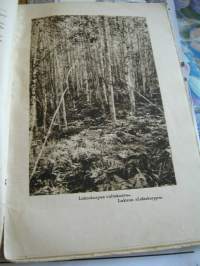 lintukuvia,lintupakinoita ja tarinoita