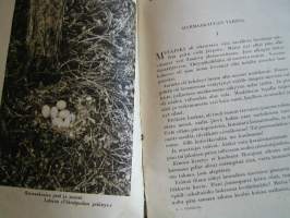 lintukuvia,lintupakinoita ja tarinoita