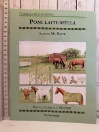 Poni laitumella