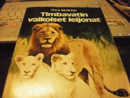 Timbavatin valkoiset leijonat