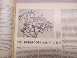 Helsingfors Journalen 1937 nr 1, Den undergörande misteln, Hemmet för värnlösa barn i Grankulla, Helsingfors Skepsvarv försvinner  efter 175 år, Käte Kruse dockor