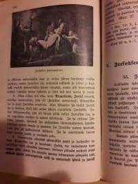 Raamtun historia / P.W. Sundwall. P.1911. Viides kuvallinen painos, kuvia 53 kpl