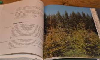 Metsä - Uudistuva luonnonvara - Puun tuottaminen - Metsästä markkinoille