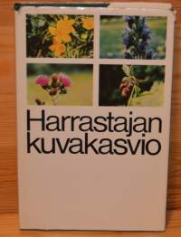 Harrastajan kuvakasvio