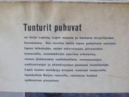 Tunturit puhuvat - Valikoima Lapin kirjallisuutta