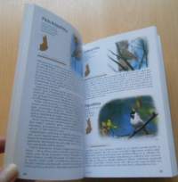 Koko perheen luonto-opas, Nisäkkäät, linnut, hyönteiset, kalat, kasvit