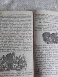 Biblia -historia sisältävä sata neljä jutelmaa Pyhästä Raamatusta./ Gristian G. Barth, uutuudenopin tohtori. Suomentanut Josef Grönberg. P.1881.