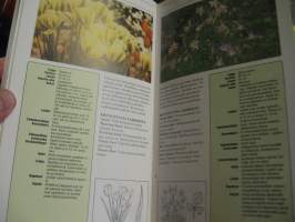 Kukkiva puutarha - Kotipuutarhurin käyttökirja