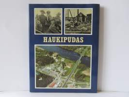 Haukipudas