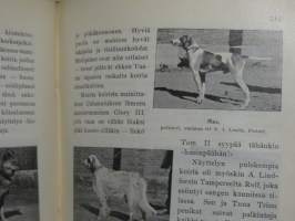 Suomen urheilulehti 1904 VIIs vuosikerta