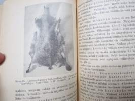 Nykyaikainen lammastalous -modern sheepfarming