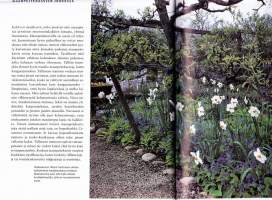Sipulit &amp; mukulat keväästä syksyyn, 2005. 2.p. Kirja esittelee selkein tekstein, hoito-ohjein ja kuvin Suomessa viihtyviä sipuli- ja mukulakasveja. (puutarha, piha)