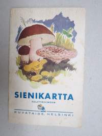 Sienikartta selityksineen