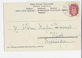 Pieni nahkapöksy toivottaa onnea - postikortti lapsipostikortti uudenvuoden kortti kulkenut 1903