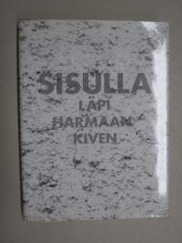 Sisulla läpi harmaan kiven - Luja-yhtiöt 1953-1993  (Lujabetoni Oy)