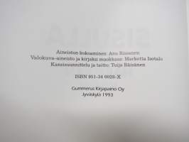 Sisulla läpi harmaan kiven - Luja-yhtiöt 1953-1993  (Lujabetoni Oy)