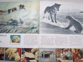 Neuvostoliitto 1960 nr 38 (ilmestymisjärjestyksessään nr 38), sosialistisen suunnitelmatalouden ja kulttuurin propagandalehti -Soviet propaganda magazine