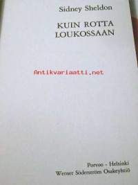 Kuin rotta loukossaan