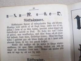 Bilder A B C Bok -ruotsalainen aapinen