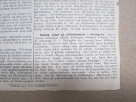 Den 7 Febr. 1904 -sortokauden aikainen Tukholmassa julkaistu lehtinen
