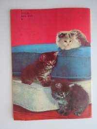 Ajan Sävel 1963 nr 30