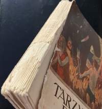 Tarzanin poika