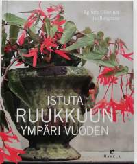 Istuta ruukkuun ympäri vuoden. (Puutarhanhoito)