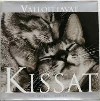 Valloittavat kissat. (Valokuvaus, kissat)