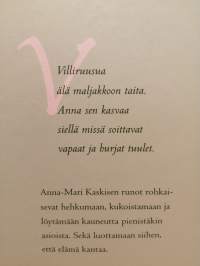 Ruusun hehkua