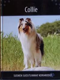 Collie -Suomen suosituimmat koirarodut. (Lemmikkikirjallisuus, lassie)