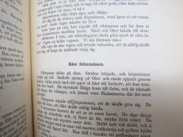 Nialas saga (Njals saga) - isländska fornsagor i svensk tolkning
