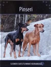 Pinseri - Suomen suosituimmat koirarodut. (Lemmikit)