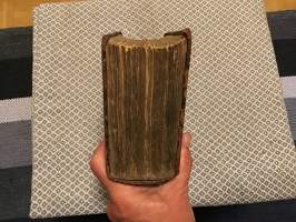 Biblia, det är: all den heliga skrift, gamla och nya testamentet