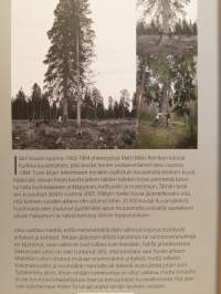 Kurikka