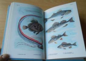 Pohjolan kalat värikuvina