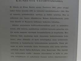 Kauneutta tavoittamassa