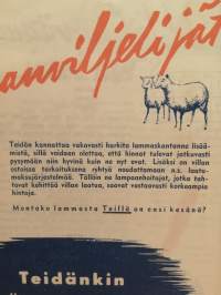 Nyt lumput rahaksi ja pisteiksi