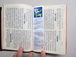 聖經 Shèngjīng (Kuoyü-Phonetic / Shangti) - Raamattu (Uusi testamentti), kiinankielinen, lähetyssaarnaajan tai perheen käytössä ollut
